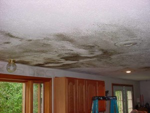 roof water damage